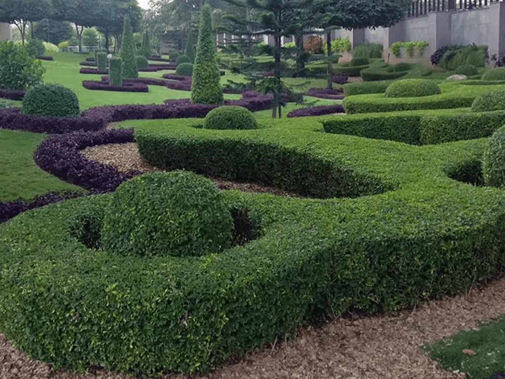  Landscape  Garden Top  View  Png  mammapappamattis